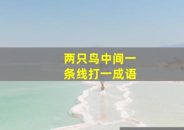 两只鸟中间一条线打一成语