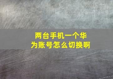 两台手机一个华为账号怎么切换啊