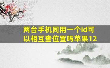 两台手机同用一个id可以相互查位置吗苹果12