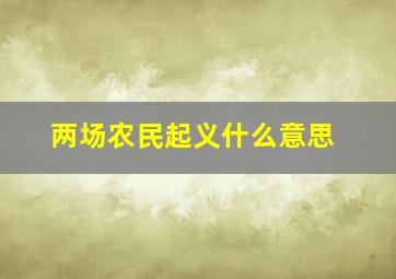 两场农民起义什么意思