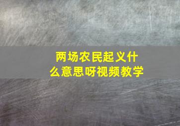 两场农民起义什么意思呀视频教学