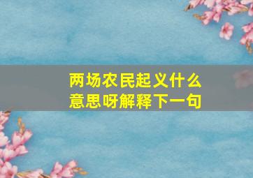 两场农民起义什么意思呀解释下一句