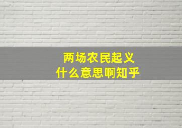 两场农民起义什么意思啊知乎