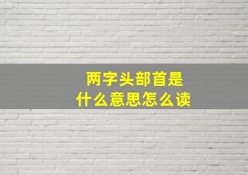 两字头部首是什么意思怎么读