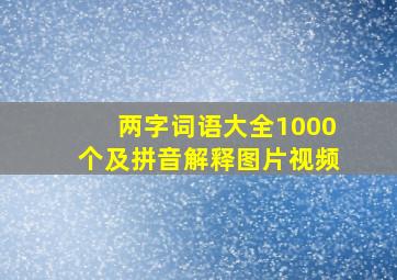 两字词语大全1000个及拼音解释图片视频