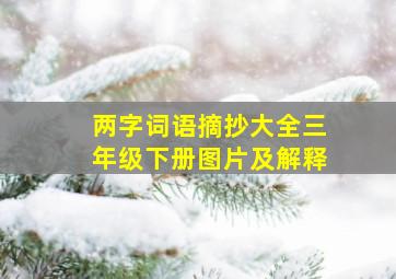 两字词语摘抄大全三年级下册图片及解释