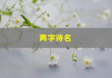 两字诗名