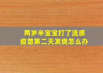 两岁半宝宝打了流感疫苗第二天发烧怎么办