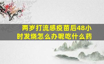 两岁打流感疫苗后48小时发烧怎么办呢吃什么药