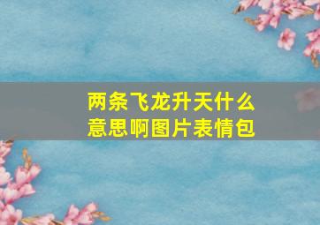 两条飞龙升天什么意思啊图片表情包