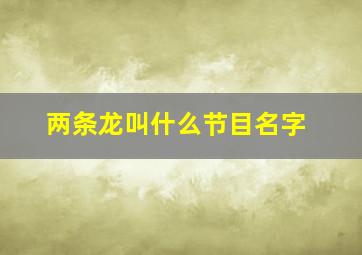 两条龙叫什么节目名字