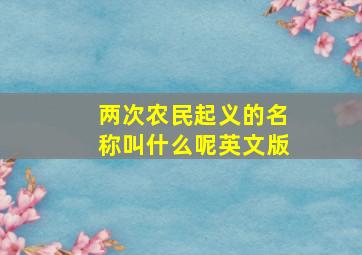 两次农民起义的名称叫什么呢英文版