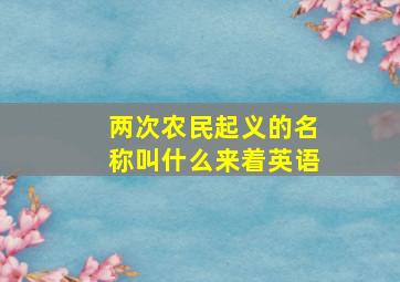 两次农民起义的名称叫什么来着英语