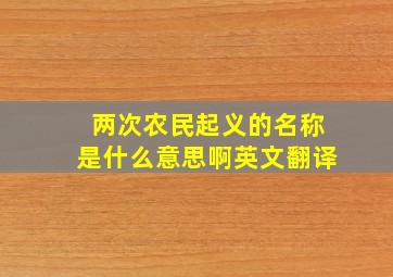 两次农民起义的名称是什么意思啊英文翻译