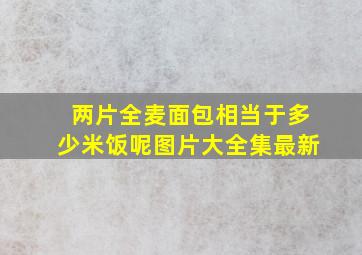 两片全麦面包相当于多少米饭呢图片大全集最新