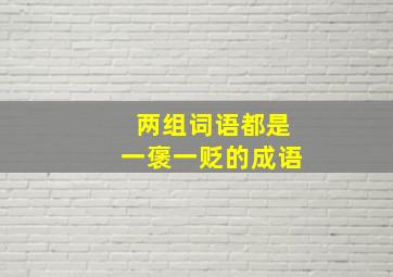 两组词语都是一褒一贬的成语