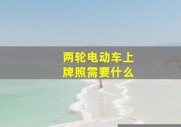 两轮电动车上牌照需要什么