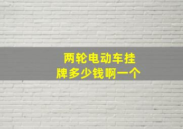 两轮电动车挂牌多少钱啊一个