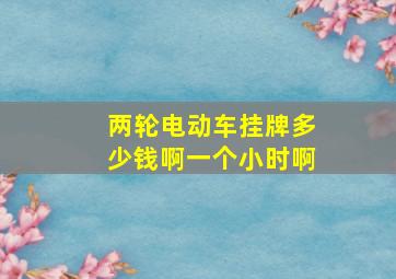 两轮电动车挂牌多少钱啊一个小时啊