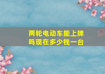 两轮电动车能上牌吗现在多少钱一台