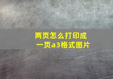 两页怎么打印成一页a3格式图片