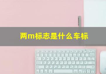 两m标志是什么车标