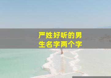 严姓好听的男生名字两个字