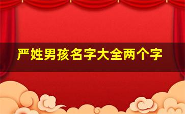 严姓男孩名字大全两个字