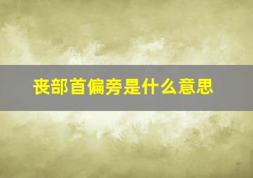 丧部首偏旁是什么意思