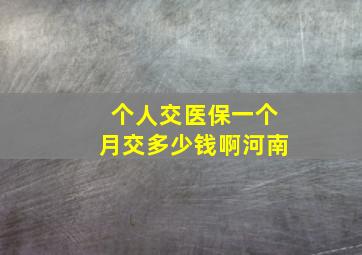 个人交医保一个月交多少钱啊河南