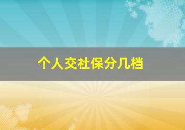 个人交社保分几档