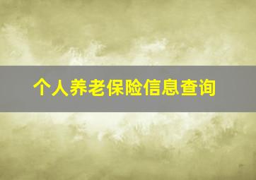 个人养老保险信息查询