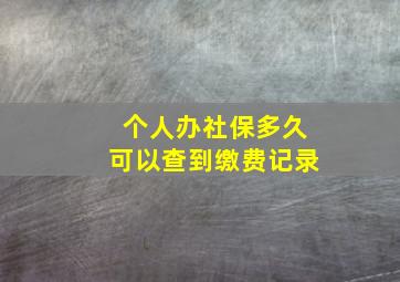 个人办社保多久可以查到缴费记录