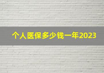 个人医保多少钱一年2023