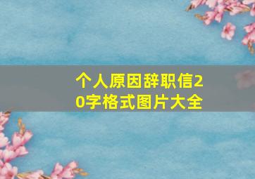 个人原因辞职信20字格式图片大全