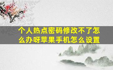 个人热点密码修改不了怎么办呀苹果手机怎么设置