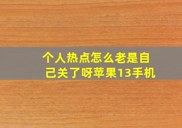 个人热点怎么老是自己关了呀苹果13手机