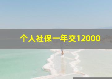 个人社保一年交12000