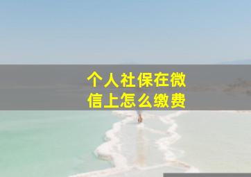 个人社保在微信上怎么缴费