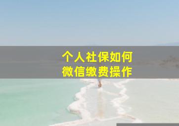 个人社保如何微信缴费操作