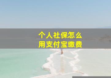 个人社保怎么用支付宝缴费