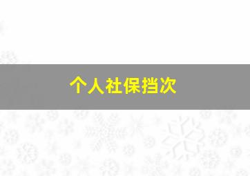 个人社保挡次