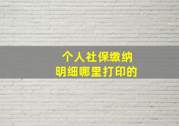 个人社保缴纳明细哪里打印的