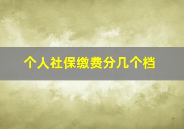 个人社保缴费分几个档