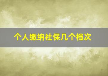 个人缴纳社保几个档次