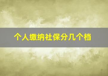 个人缴纳社保分几个档