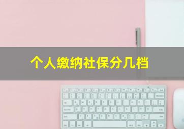 个人缴纳社保分几档