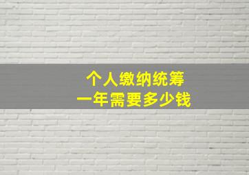 个人缴纳统筹一年需要多少钱