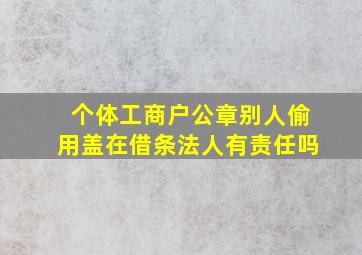 个体工商户公章别人偷用盖在借条法人有责任吗