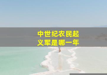 中世纪农民起义军是哪一年